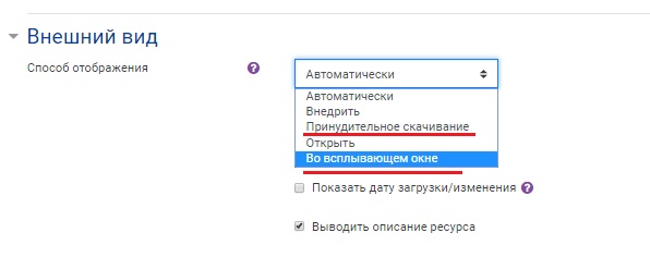 В разделе «Внешний вид» выберите способ отображения файла